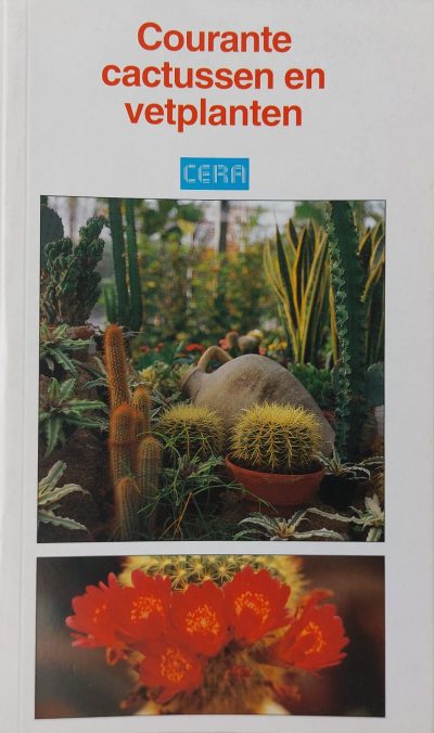 Courante cactussen en vetplanten